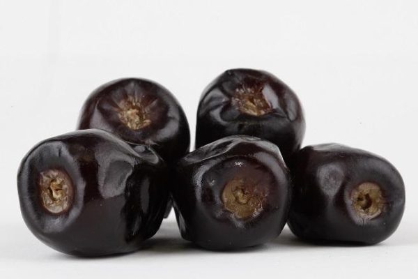 Bam-mazafati-date